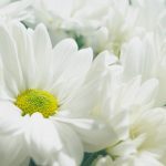 jez-timms-gwIuwbwVhZE-unsplash